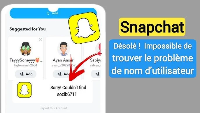 Pourquoi reçoit-on le message 'nous sommes désolé un problème est survenu sur Snap' ?